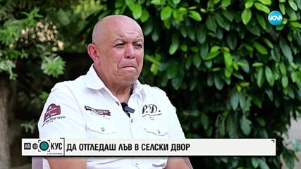 Историята на лъвицата Симба: Да отгледаш дива котка в селски двор