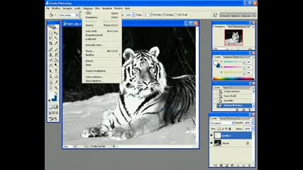 Преoбразяване На Тигър С Photoshop