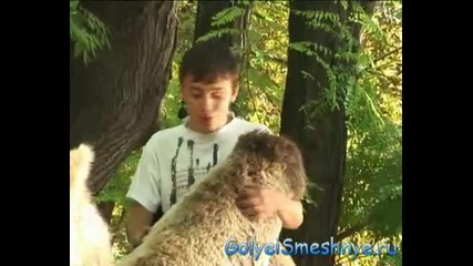 Голи и забавни