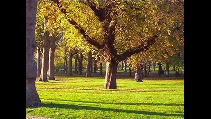 Paul Mauriat ~ Love Story