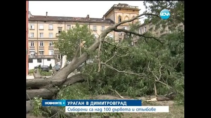 Ураган в Димитровград събори над 100 дървета и стълбове - Новините на Нова