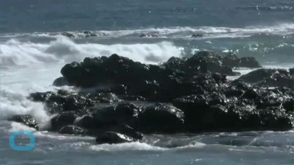 Shark Attack Kills Woman in Maui