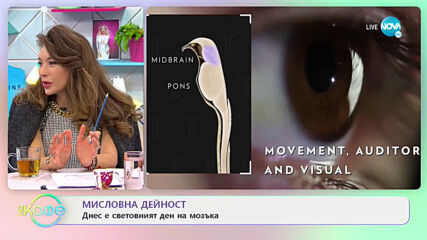 Мисловна дейност: Днес е световният ден на мозъка - На кафе (18.03.2021)