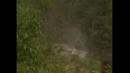 Subaru rally crash