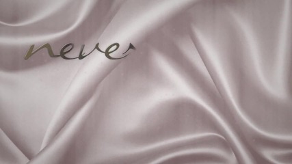 Whitney Houston - Never Give Up