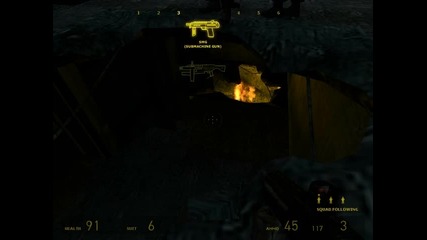 Half life 2 gameplay 45