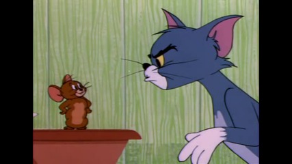 Tom And Jerry - Timid Tabby (1957) 