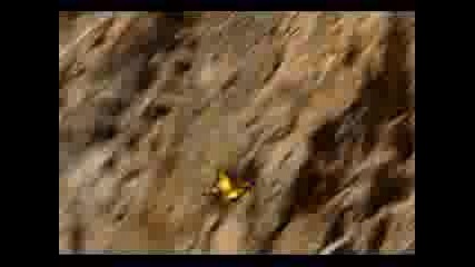 Mountain Wingsuit