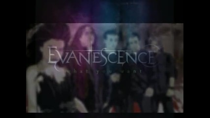 Evanescence - What You Want (превод)