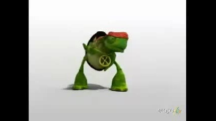 Dancing Turtle