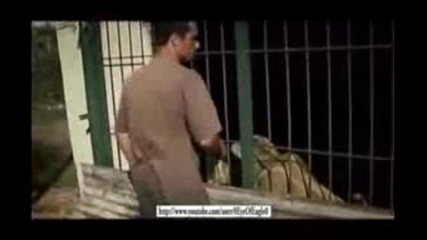 Kevin Richardson Dangerous Companions