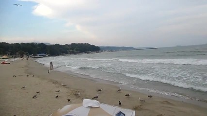 Варна 2013