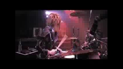 Versailles - Aristocrats symphony [live]