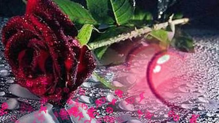 С Днём Рождения 27 лет, Тина !!! ( Марина Алиева поёт )