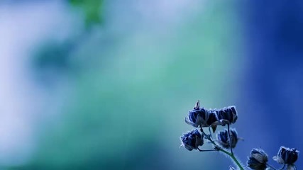 Alexandra Burke The Silence