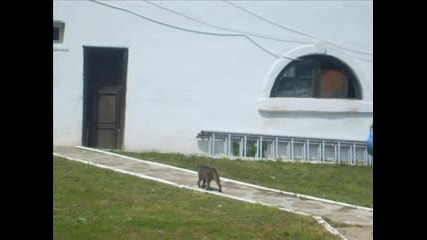 Планината