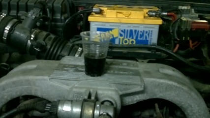 Boxer extreme 