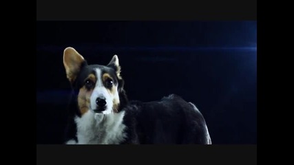 Swedish House Mafia - Save The World .