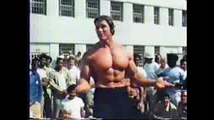 Arnold Schwarzenegger