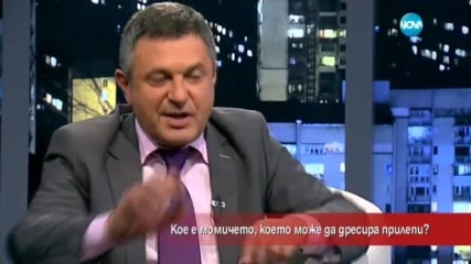Кое е момичето, което дресира прилепи?