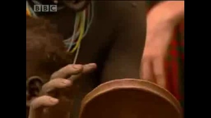 Lip plates of suri women - Tribe - Bbc