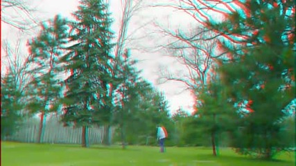 3 D - V I D E O