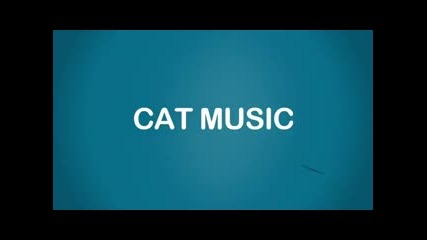 Stereo Palma feat. Craig David - Our Love _x264.mp4