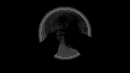 W A S P - Raven Heart
