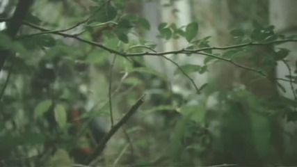 Nelly Furtado - All good things (dvd Rip)