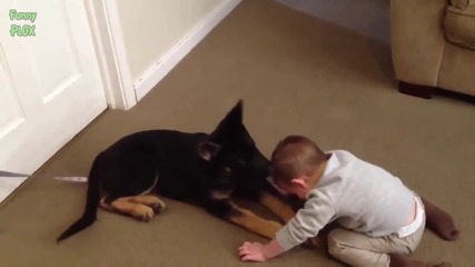 Компилация Смях - Puppies and Babies Playing Together Compilation 2014