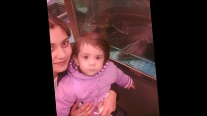 beyhan co