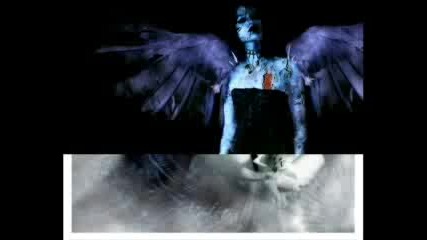 Dark Angels