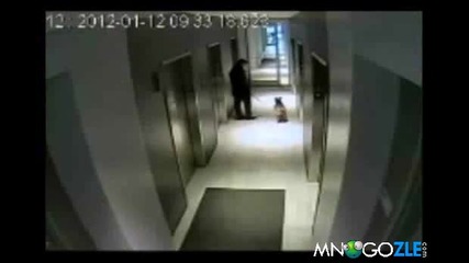 Човек, който не заслужава куче