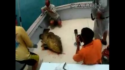 Риба нокаутирва рибар 