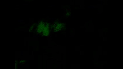 13012009.mp4