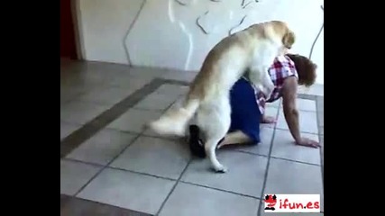 Куче напада жена[много Смях]