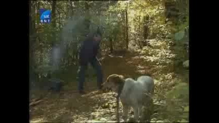 Атлас - Съкровищата на свиленградско