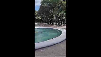 video-1631114279