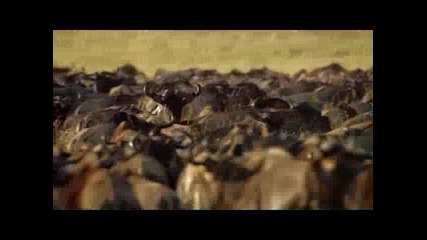 Планетата Земя - Сладка вода (2 - част) 