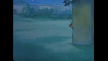 Tom and Jerry - Solid Serenade 