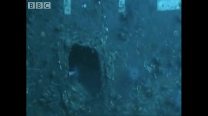 Unravelling the mystery of a plane wreckage in the Bermuda Triangle - Bbc 