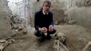 Археолози откриха останки на над 2000 години в руините на Помпей