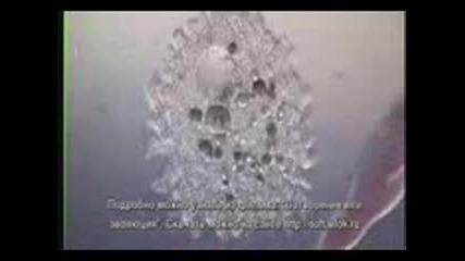 Лъжата в името на науката (3 част)