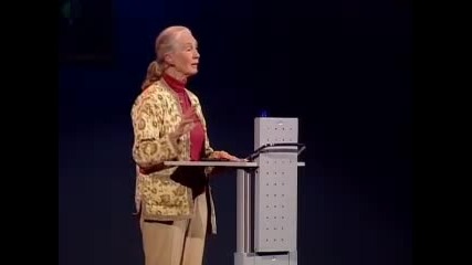 Jane Goodall Helping humans and animals live together in Af 