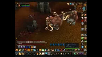 Wrath Of The Lich King Wooly Mammoth Ride