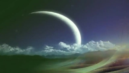 Under The Moonlight