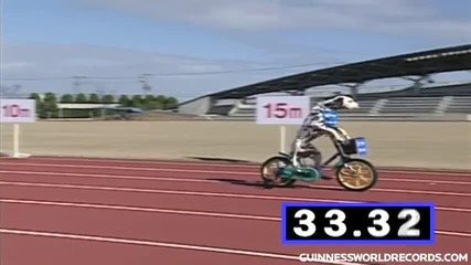 Кучета карат колело–световен рекорд на Гинес