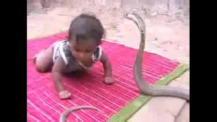 Малко дете срещу кобра