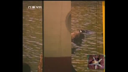 ! Big Brother 4, 25 Септември 2008 - 7 !