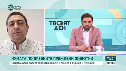 Има ли опасност за България заради чумата по овце и кози в Гърция и Румъния